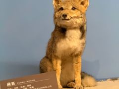 -青藏高原自然博物馆