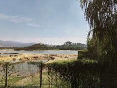 -立新湖公园