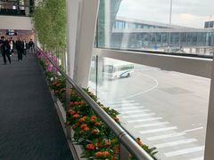 -厦门高崎国际机场-T3航站楼