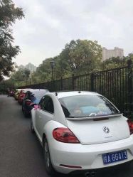 点击看大图 -蚂蚁婚车