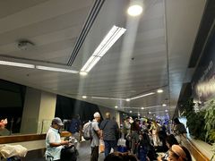 -尼诺伊·阿基诺国际机场T1航站楼