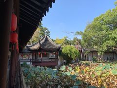 -上海醉白池公园