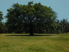 -白沙门生态公园