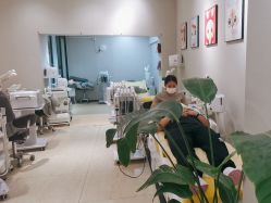 -洗脸猫·洗脸吧