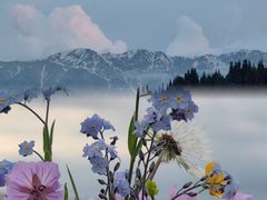 -赛里木湖风景名胜区