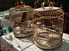 -伊隆斋(什刹海店)