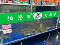-阳澄湖大闸蟹·琼灵阁牌品牌连锁(吴中总店)