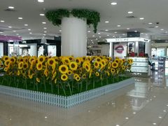 android_upload_pic-梦之岛百货(水晶城店)