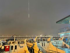 -武汉关码头(轮渡站)