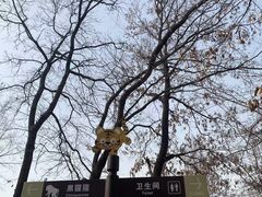 -合肥野生动物园