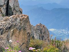 -白草畔自然风景区