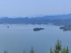 -浔味·山屿湖·正宗全鱼宴老字号