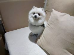 -MZ SKIN CARE逆齢驻颜中心