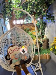 -小猴子儿童摄影馆(茂业店)