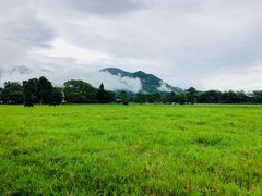 -瑞穗牧场