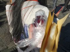 -杨记乳扇·雕梅