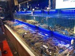 -必点海鲜·鲅鱼水饺(鞍山西道店)