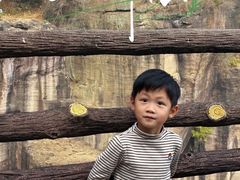 -广州莲花山旅游区