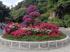 -广州市白云山风景名胜区
