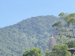 -深圳仙湖植物园