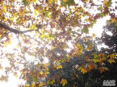 -浙江省杭州高级中学(贡院校区)