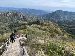 -大岭沟猕猴桃谷风景区