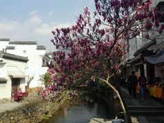 景点-绩溪龙川景区