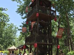 -合肥滨湖国家森林公园