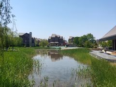 -天津东丽湖风景区