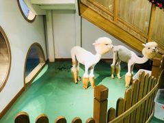 -藦茜花园宠物主题亲子互动体验馆(国顺东路店)