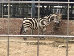 -迪茵湖田家舍生态农场