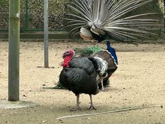 -苏州上方山国家森林公园