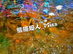 -蟹之国·精品蟹料理(极地店)