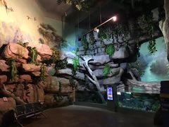 -福州罗源湾海洋世界旅游区