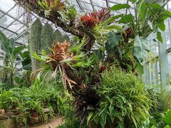 -国家植物园南园