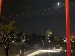 -大队长大灶鹅