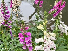 -人民公园(罗湖区)