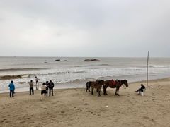 -南澳海滩