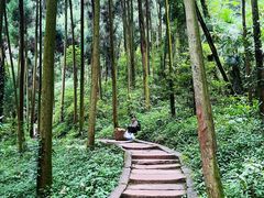 -青城山