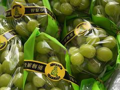 -西郊国际农产品交易中心