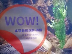-重庆欢乐海底世界