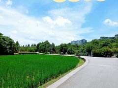-贵阳市花溪国家城市湿地公园