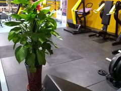 -阳光游泳培训基地(天通苑店)