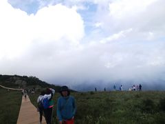 -白草畔自然风景区