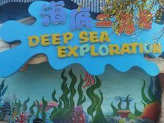 -海合安武汉极地海洋公园