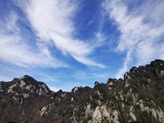 -王顺山国家森林公园