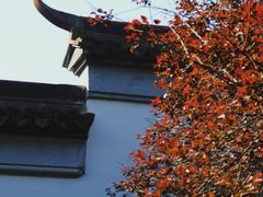 -八大山人梅湖景区