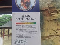 -杭州野生动物世界