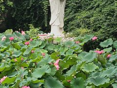 -长洲岛