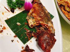 -新侨小馆(东直门北小街店)